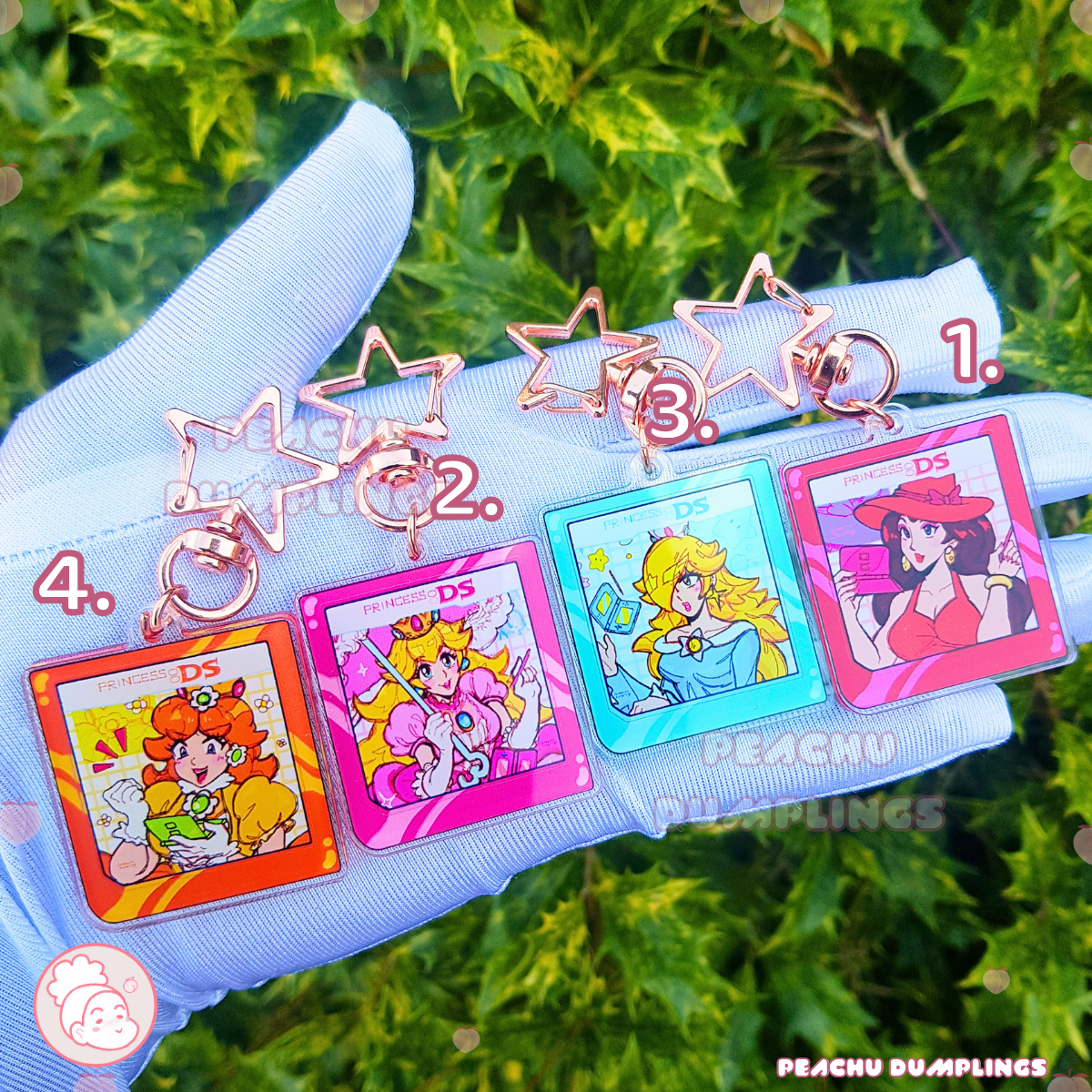 Princess DS.Charms